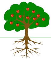 Apple tree roots