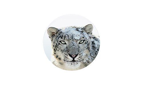 mac emulator snow leopard
