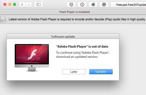 adobe flash player update mac for free