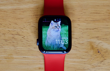 How to Sync, View, and Use Photos on the Apple Watch - The Mac