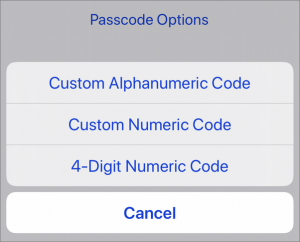 If Hackers Crack a Six-Digit iPhone Passcode, They Can Get All Your